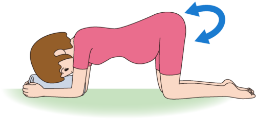 妊婦の骨盤体操